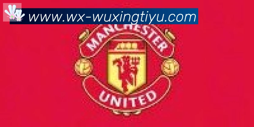 五星体育合作伙伴