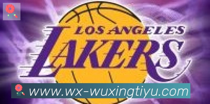 五星体育合作伙伴