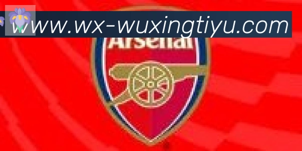 五星体育合作伙伴