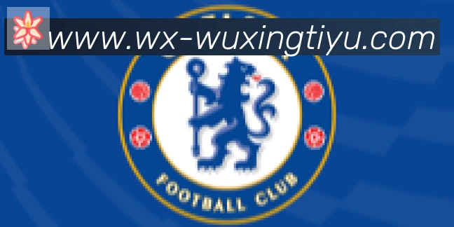 五星体育合作伙伴