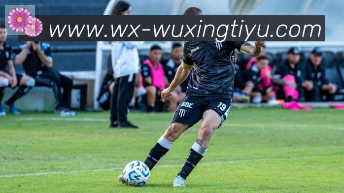 五星体育全站App